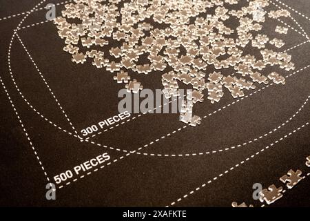 Community jigsaw puzzle at The Stavros Niarchos Foundation Library (SNFL) located at 455 Fifth Avenue, New York City, USA  2024 Stock Photo