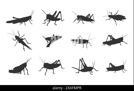 Grasshopper silhouettes, Clipart grasshopper, Grasshoppers silhouette, Grasshopper vector set Stock Vector