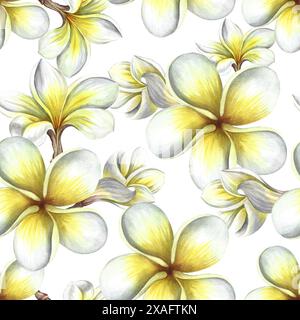 Seamless pattern with plumeria and frangipani flowers. A hand-drawn watercolor illustration. For textiles, wallpapers and backgrounds. For packaging p Stock Photo