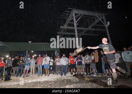 Participant hurls a dead nutria in the 'nutria toss' contest at the annual Nutria Rodeo in Louisiana, which promotes hunting the invasive rodent. Stock Photo