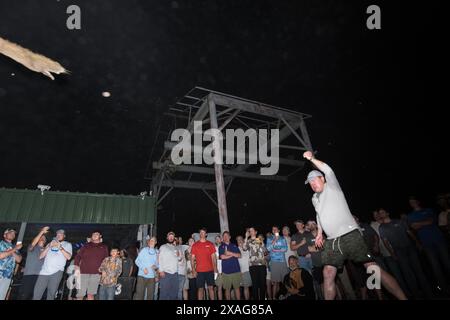 Participant hurls a dead nutria in the 'nutria toss' contest at the annual Nutria Rodeo in Louisiana, which promotes hunting the invasive rodent. Stock Photo