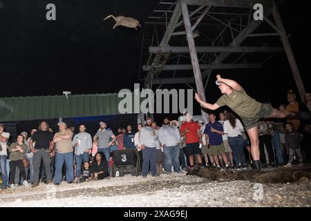 Participant hurls a dead nutria in the 'nutria toss' contest at the annual Nutria Rodeo in Louisiana, which promotes hunting the invasive rodent. Stock Photo