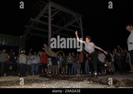 Participant hurls a dead nutria in the 'nutria toss' contest at the annual Nutria Rodeo in Louisiana, which promotes hunting the invasive rodent. Stock Photo