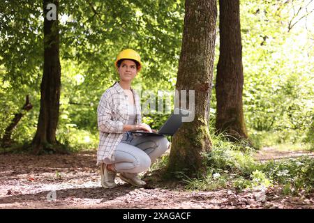 Forester in hard hat with laptop working in forest Stock Photo