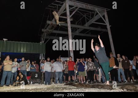 Participant hurls a dead nutria in the 'nutria toss' contest at the annual Nutria Rodeo in Louisiana, which promotes hunting the invasive rodent. Stock Photo