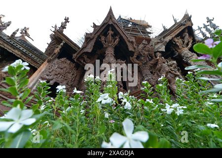 Pattaya, Thailand. 6th June, 2024. The Sanctuary of Truth museum is seen in Pattaya, Chonburi province, Thailand, June 6, 2024. Credit: Rachen Sageamsak/Xinhua/Alamy Live News Stock Photo