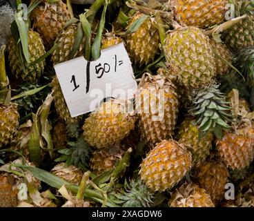 Fresh pineapples sold at a local market in Kandy, Sri Lanka. Stock Photo