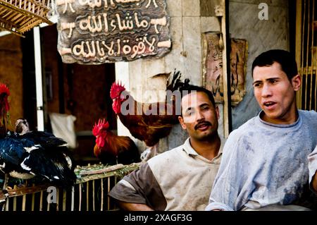 fresh chickens sold in the vibrant Cairo markets. Stock Photo