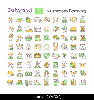 Mushroom farming and cultivation RGB color icons set Stock Vector
