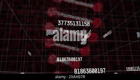 Image of increasing numbers over dna chain on black background Stock Photo