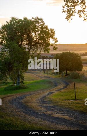 Winding road through trees at sunset, Darling Downs, Queensland Australia Stock Photo