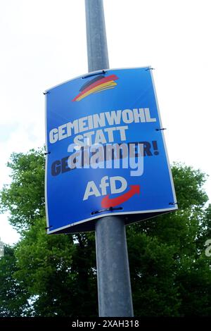 AfD-Wahlplakat - Wahl zum Europäischen Parlament - Die Wahl zum Europäischen Parlament findet vom 6. bis 9. Juni 2024 statt, sowohl in Deutschland als auch in Europa - Gerstungen, Deutschland, GER, DEU, Germany, 05.06.2024 - Gerstungen: Wahlplakat der Partei AfD mit dem Slogan: GEMEINWOHL STATT GEFÄHRDER - LOGO: AfD - Abbildung: Deutsche Nationalfarben Schwarz Rot Gold *** AfD election poster election to the European Parliament The election to the European Parliament will take place from 6 to 9 June 2024, both in Germany and in Europe Gerstungen, Germany, GER, DEU, Germany, 05 06 2024 Gerstung Stock Photo