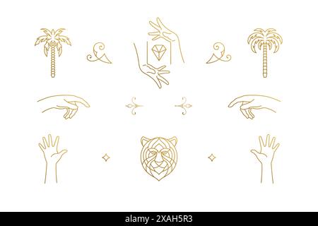 Vector line elegant decoration design elements set - tiger head and gesture hands illustrations minimal linear style. Collection bohemian delicate out Stock Vector