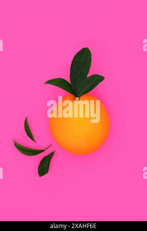 Summer orange citrus vivid fruit design with leaves on vivid pink background. Healthy immune system boosting food high in antioxidants, bio flavonoids Stock Photo