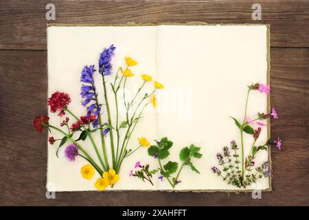 Wildflower collection of British flora with old hemp notebook on rustic wood. Flowers used in natural alternative herbal medicine. Stock Photo