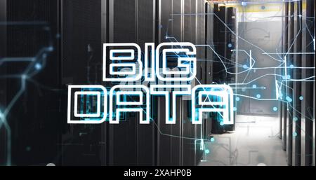 Image of big data text over computer servers Stock Photo