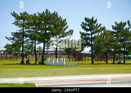 Samcheok City, South Korea - May 18th, 2024: A view of Isabu Plaza with green pine trees and a wooden walkway in the background. A person sits on the Stock Photo