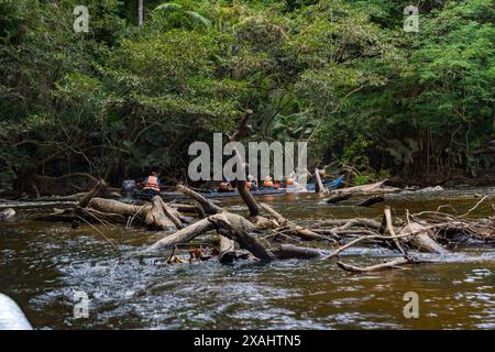 Tahan River and Green Jungle Nature of Taman Negara National Park, Malaysia Stock Photo