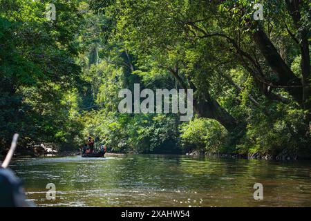 Tahan River and Green Jungle Nature of Taman Negara National Park, Malaysia Stock Photo