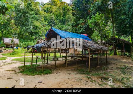 Pahang, Malaysia - May 14, 2024 :  Orang Asli, the indigenous people tribe village of Peninsular Malaysia in Taman Negara National Park Stock Photo