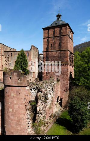 Heidelberg Castle, destroyed in 1689, prison tower in front, gate tower or clock tower on the right seen from the Stueckgarten, castle courtyard Stock Photo