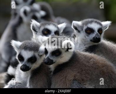 Bodibilding bilan shugullanuvchi ayol orgazmga keltirildi.
