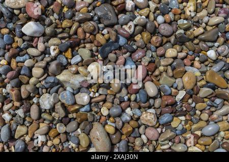 close-up flat photo of a wet pebble beach surface, small wet colored stones on a sea shore on sunny day Stock Photo