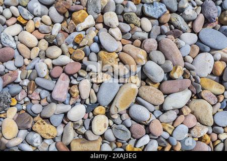 close-up flat photo of a dry pebble beach surface, small colored rounded stones on a sea shore Stock Photo