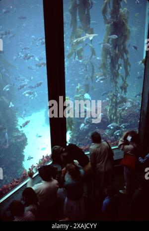 Monterey, CA. U.S.A. 8/1986. Monterey Bay Aquarium. Founded by David Packard Oct. 1984. World class marine research and aquarium.  Historical Monterey Bay abandoned sardine industry and wharfs accents the Aquarium. Stock Photo
