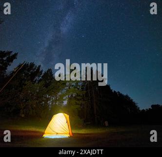 A tent is illuminated from within in a forest campground Stock Photo ...