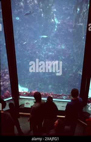 Monterey, CA. U.S.A. 8/1986. Monterey Bay Aquarium. Founded by David Packard Oct. 1984. World class marine research and aquarium.  Historical Monterey Bay abandoned sardine industry and wharfs accents the Aquarium. Stock Photo