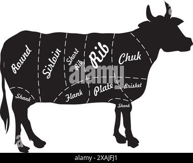 Types of beef cuts from a cow on a white background Stock Vector