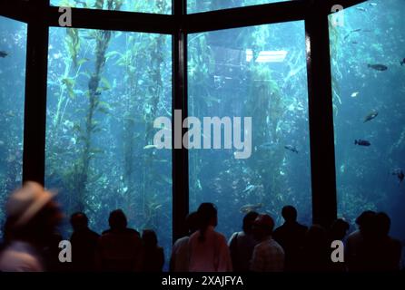 Monterey, CA. U.S.A. 8/1986. Monterey Bay Aquarium. Founded by David Packard Oct. 1984. World class marine research and aquarium.  Historical Monterey Bay abandoned sardine industry and wharfs accents the Aquarium. Stock Photo