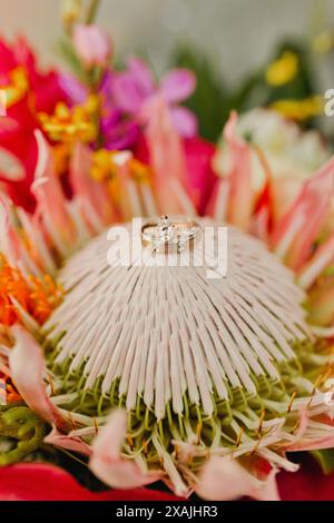 Engagement ring and band sit on tropical protea Stock Photo