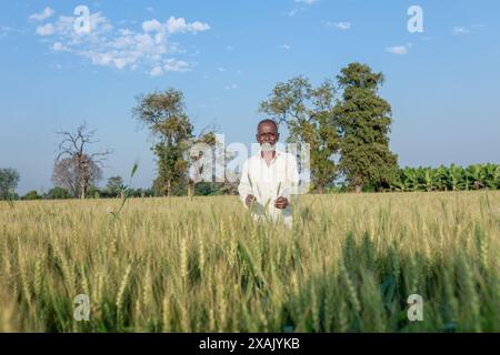 Indian farmer standing at wheat field, Happy farmer Stock Photo