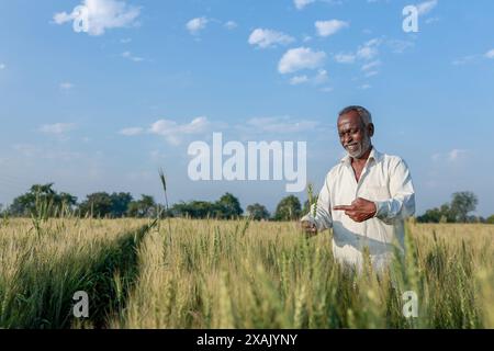 Indian farmer standing at wheat field, Happy farmer Stock Photo