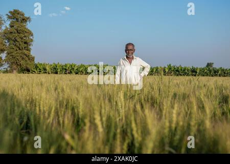Indian farmer standing at wheat field, Happy farmer Stock Photo