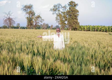 Indian farmer standing at wheat field, Happy farmer Stock Photo