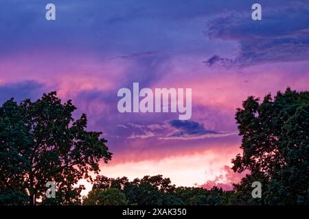 Intense colors in the sky after a thunderstorm with the sun setting and the clouds moving out above the trees in evening time Stock Photo