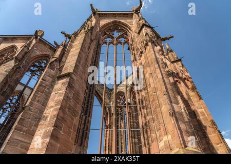 The ruins of the Gothic Werner Chapel in Bacharach, World Heritage Upper Middle Rhine Valley, Rhineland-Palatinate, Germany Stock Photo