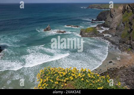 Bedruthan Steps, Cornwall, UK Stock Photo