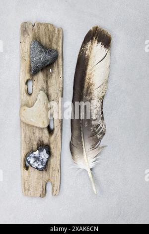 Collection of objects found on the beach, still life Stock Photo