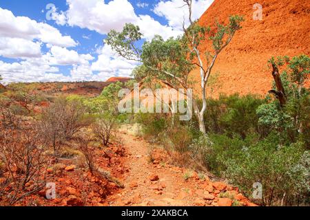 Valley of the Winds trail in Kata Tjuta aka the Olgas, large domed rock formations in Northern Territory, Central Australia - Sandstone inselberg sacr Stock Photo