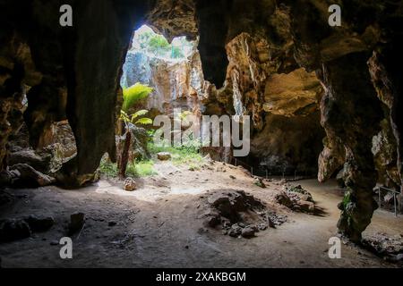 Sinkhole in the Stick-Tomato Cave in the Naracoorte Caves National Park in South Australia Stock Photo