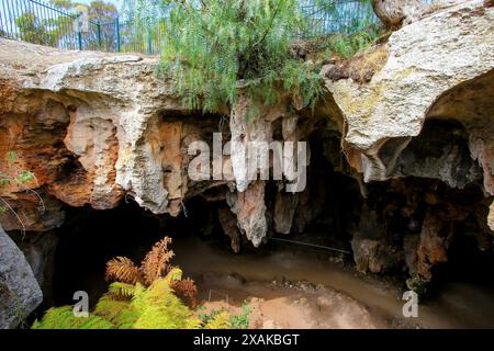 Sinkhole in the Stick-Tomato Cave in the Naracoorte Caves National Park in South Australia Stock Photo