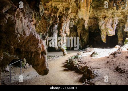 Footpath in the Stick-Tomato Cave in the Naracoorte Caves National Park in South Australia Stock Photo