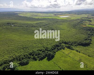 North America, Caribbean, Greater Antilles, Hispaniola Island, Dominican Republic, Hato Mayor Province, Sabana de la Mar, view over Los Haitises National Park Stock Photo