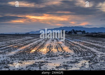 Winter sunset behind the Montsià mountain range seen from flooded rice fields in the Ebro Delta (Tarragona, Catalonia, Spain) Stock Photo