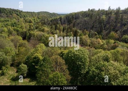 View of the forests of the Harz low mountain range, Michwald, dead trees, railroad line, Hüttenrode, Saxony-Anhalt, Germany Stock Photo