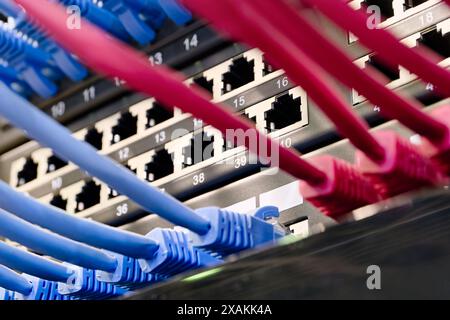 Data center, network panel, switch and connected cables. Close up shot, selective focus, networking technologies background. Stock Photo